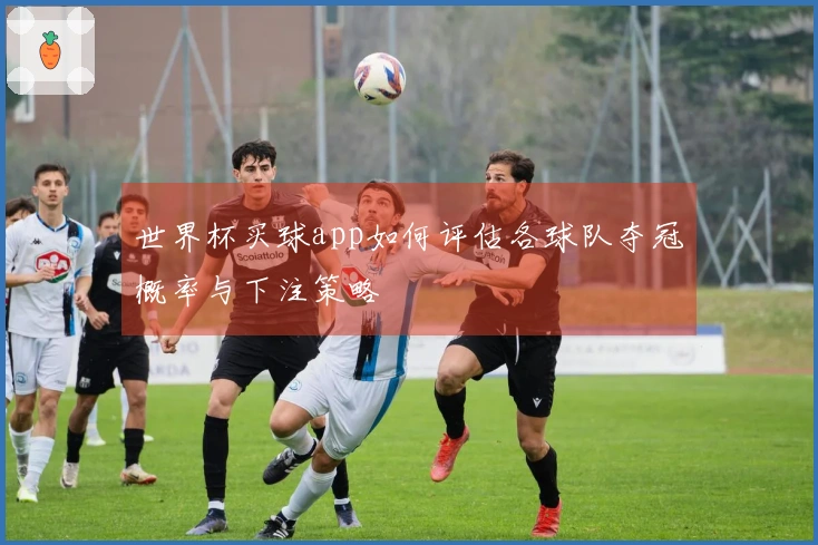 世界杯买球app如何评估各球队夺冠概率与下注策略