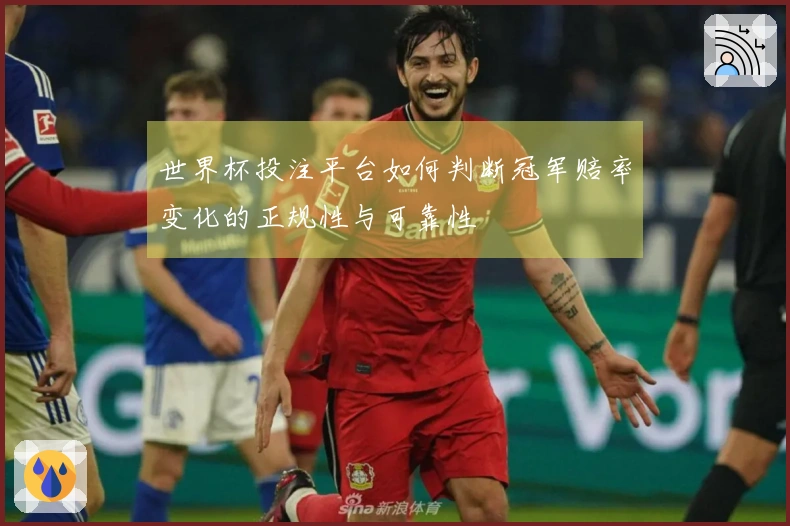 世界杯投注平台如何判断冠军赔率变化的正规性与可靠性