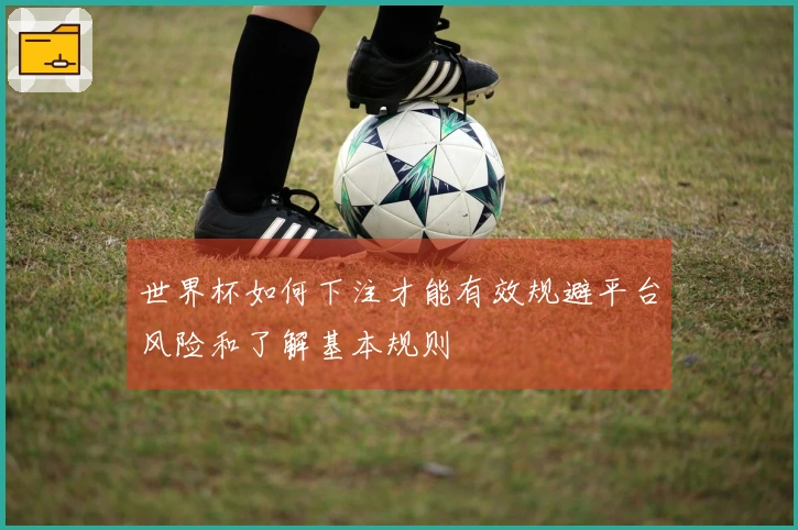 世界杯如何下注才能有效规避平台风险和了解基本规则