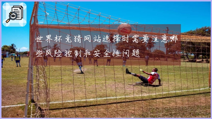 世界杯竞猜网站选择时需要注意哪些风险控制和安全性问题