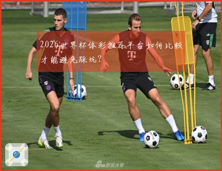 2026世界杯体彩推荐平台如何比较才能避免踩坑？