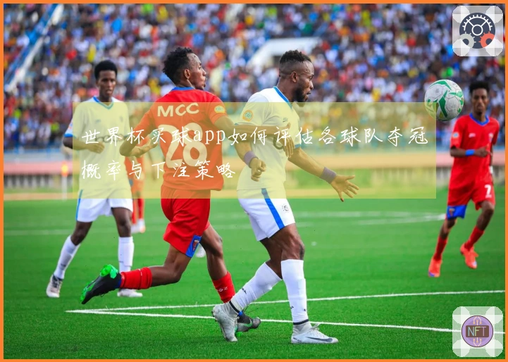 世界杯买球app如何评估各球队夺冠概率与下注策略