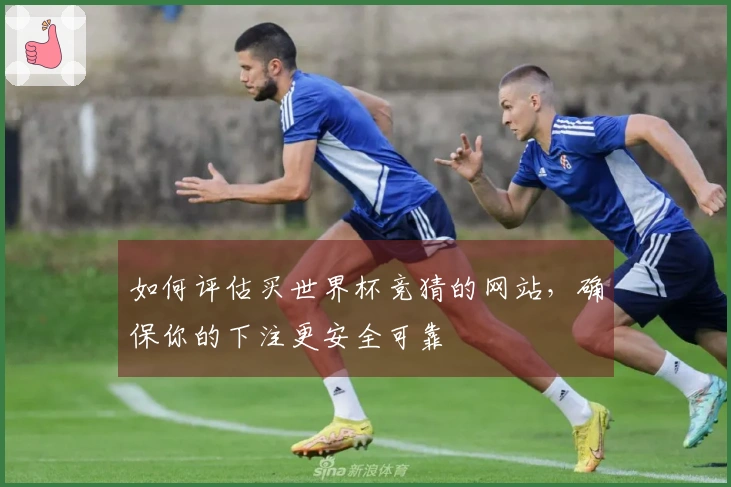 如何评估买世界杯竞猜的网站，确保你的下注更安全可靠