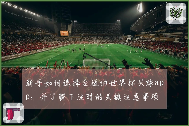 新手如何选择合适的世界杯买球app，并了解下注时的关键注意事项