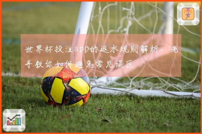 世界杯投注app的返水规则解析，老手教你如何避免常见误区