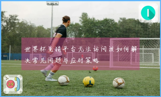 世界杯竞猜平台无法访问该如何解决常见问题与应对策略