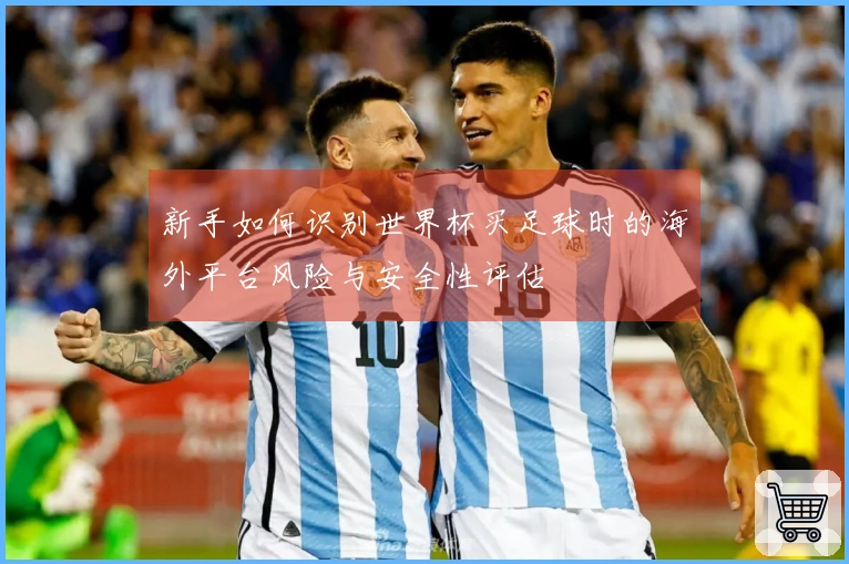新手如何识别世界杯买足球时的海外平台风险与安全性评估