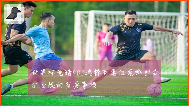 世界杯竞猜app选择时需注意哪些合法合规的重要事项