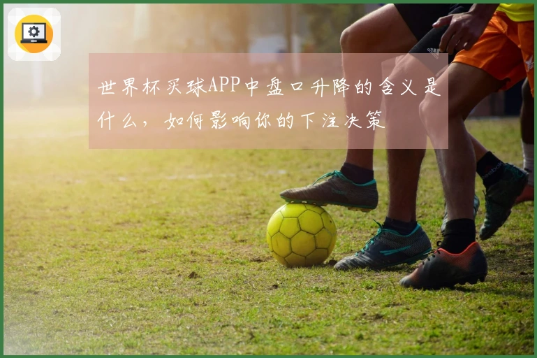 世界杯买球APP中盘口升降的含义是什么，如何影响你的下注决策