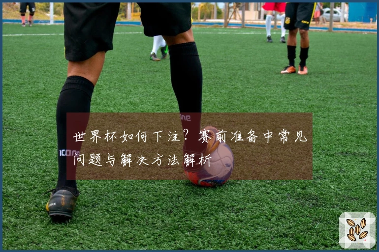 世界杯如何下注？赛前准备中常见问题与解决方法解析