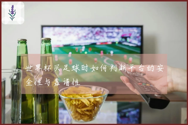 世界杯买足球时如何判断平台的安全性与靠谱性
