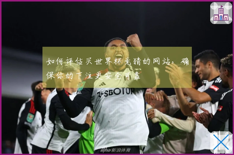 如何评估买世界杯竞猜的网站，确保你的下注更安全可靠