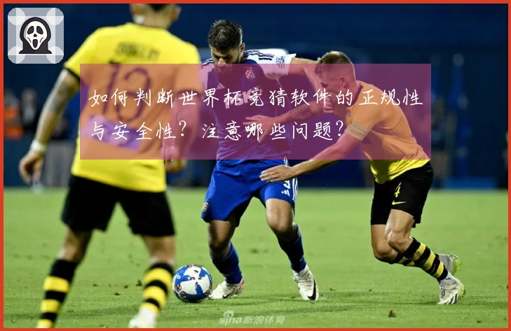 如何判断世界杯竞猜软件的正规性与安全性？注意哪些问题？