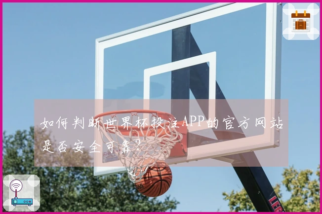如何判断世界杯投注APP的官方网站是否安全可靠？