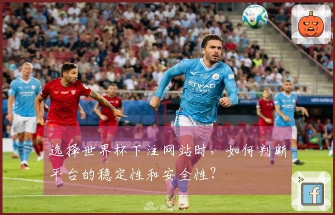 选择世界杯下注网站时，如何判断平台的稳定性和安全性？