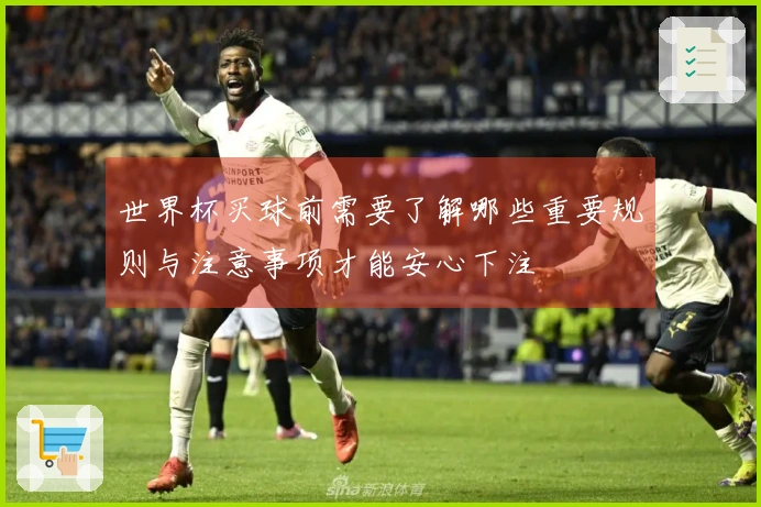 世界杯买球前需要了解哪些重要规则与注意事项才能安心下注