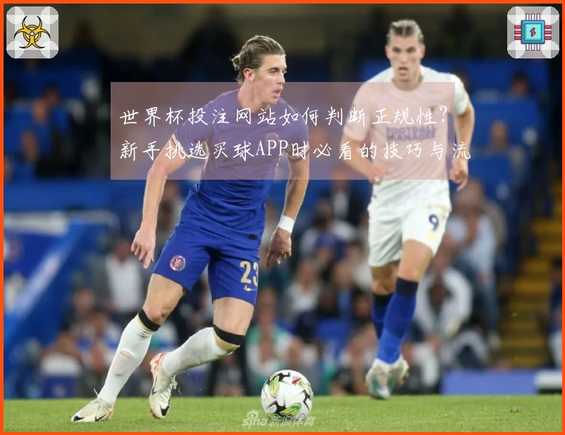 世界杯投注网站如何判断正规性？新手挑选买球APP时必看的技巧与流程