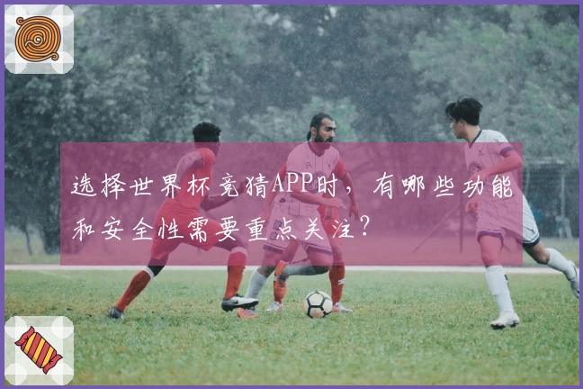 选择世界杯竞猜APP时，有哪些功能和安全性需要重点关注？