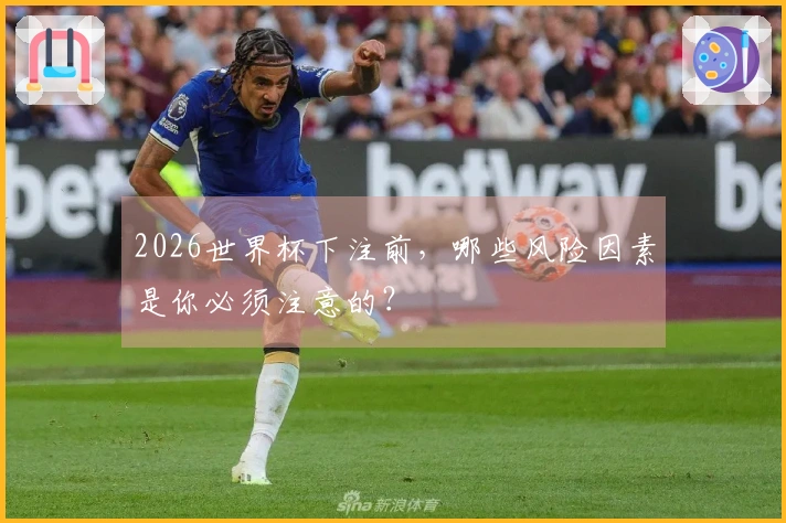 2026世界杯下注前，哪些风险因素是你必须注意的？