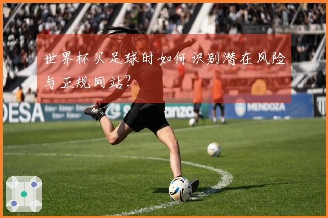 世界杯买足球时如何识别潜在风险与正规网站？