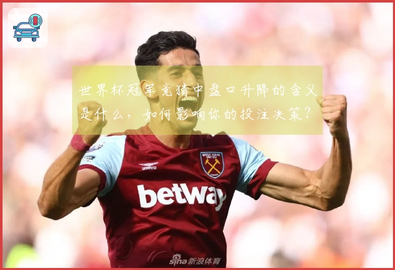 世界杯冠军竞猜中盘口升降的含义是什么，如何影响你的投注决策？