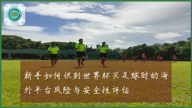 新手如何识别世界杯买足球时的海外平台风险与安全性评估