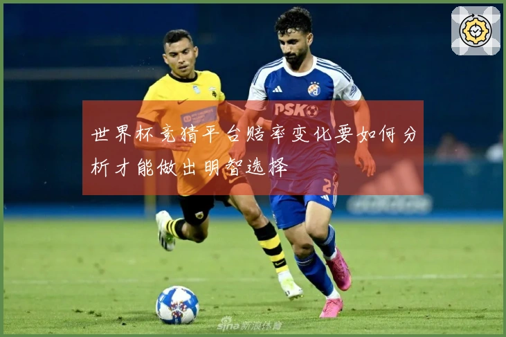 世界杯竞猜平台赔率变化要如何分析才能做出明智选择
