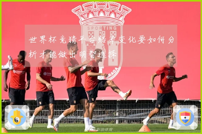 世界杯竞猜平台赔率变化要如何分析才能做出明智选择